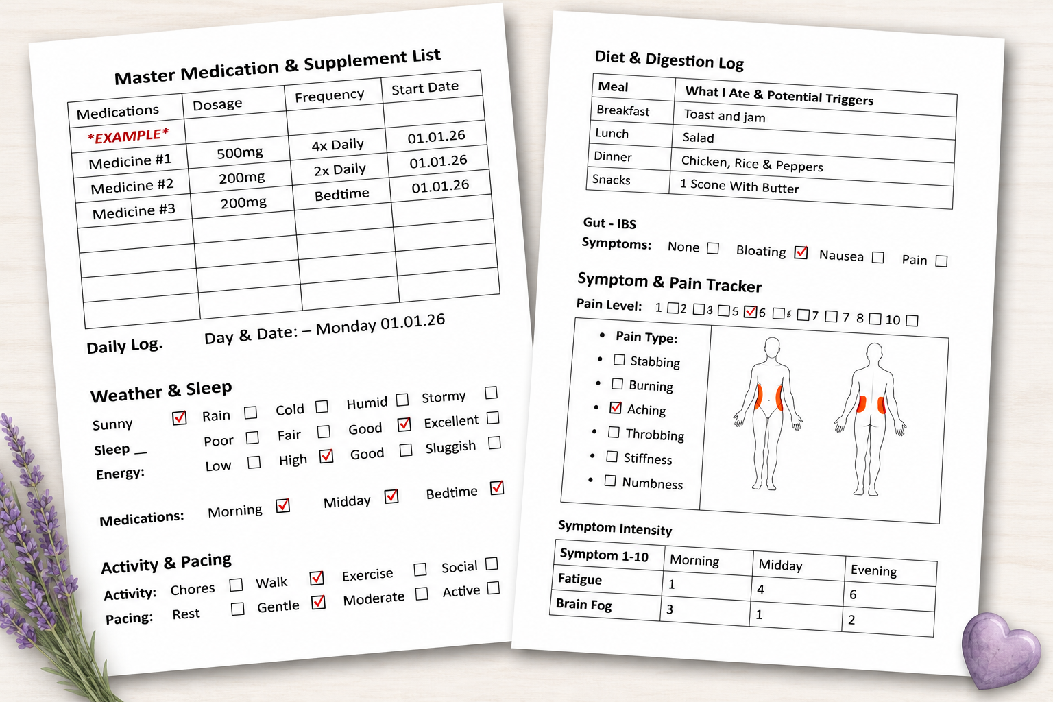 Daily Fibromyalgia Log Book inside pages